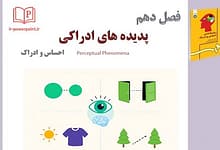 پدیده های ادراکی