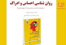 پاورپوینت روان شناسی احساس و ادراک