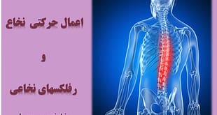 رفلکس های نخاعی