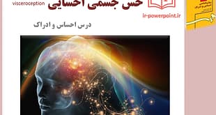 حس جسمی احشایی