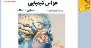 حواس شیمیایی ، روانشناسی احساس و ادراک