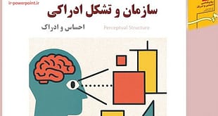 پاورپوینت سازمان و تشکل ادراکی