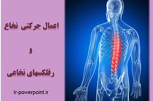 رفلکس های نخاعی