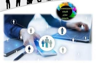 تعامل بین کارمندان و سازمان