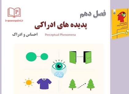 پدیده های ادراکی