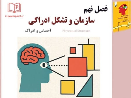 پاورپوینت سازمان و تشکل ادراکی