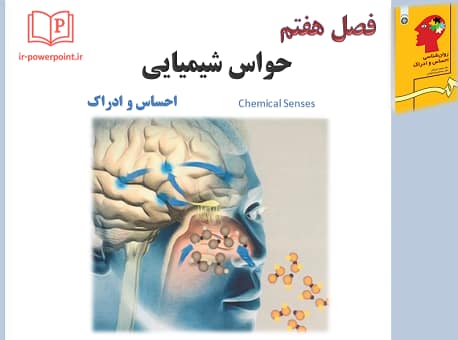 حواس شیمیایی ، روانشناسی احساس و ادراک