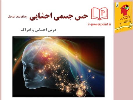 حس جسمی احشایی