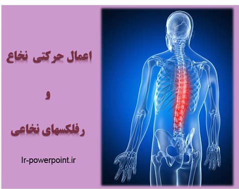 رفلکس های نخاعی